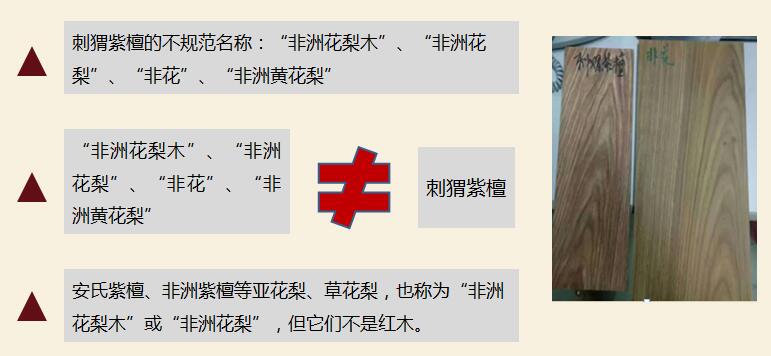 刺猬紫檀、非洲黃花梨與非洲花梨的區別？刺猬紫檀基本信息